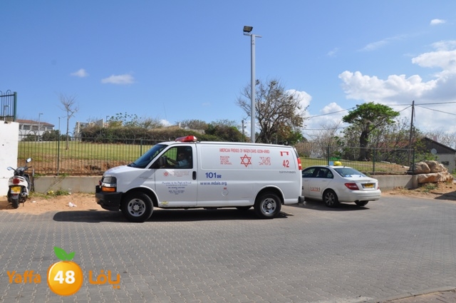 fireshekonatelarab (3).JPG